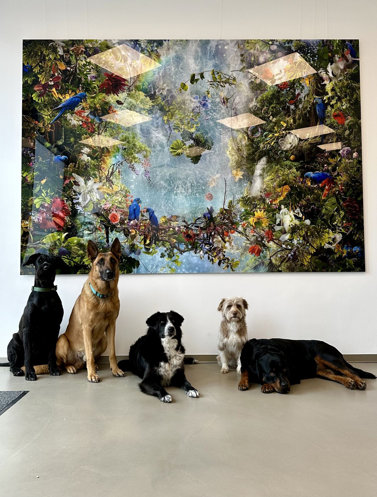 Fünf verschiede Hunde sitzen vor einem bunten Bild im Büro der PRIMO Group.