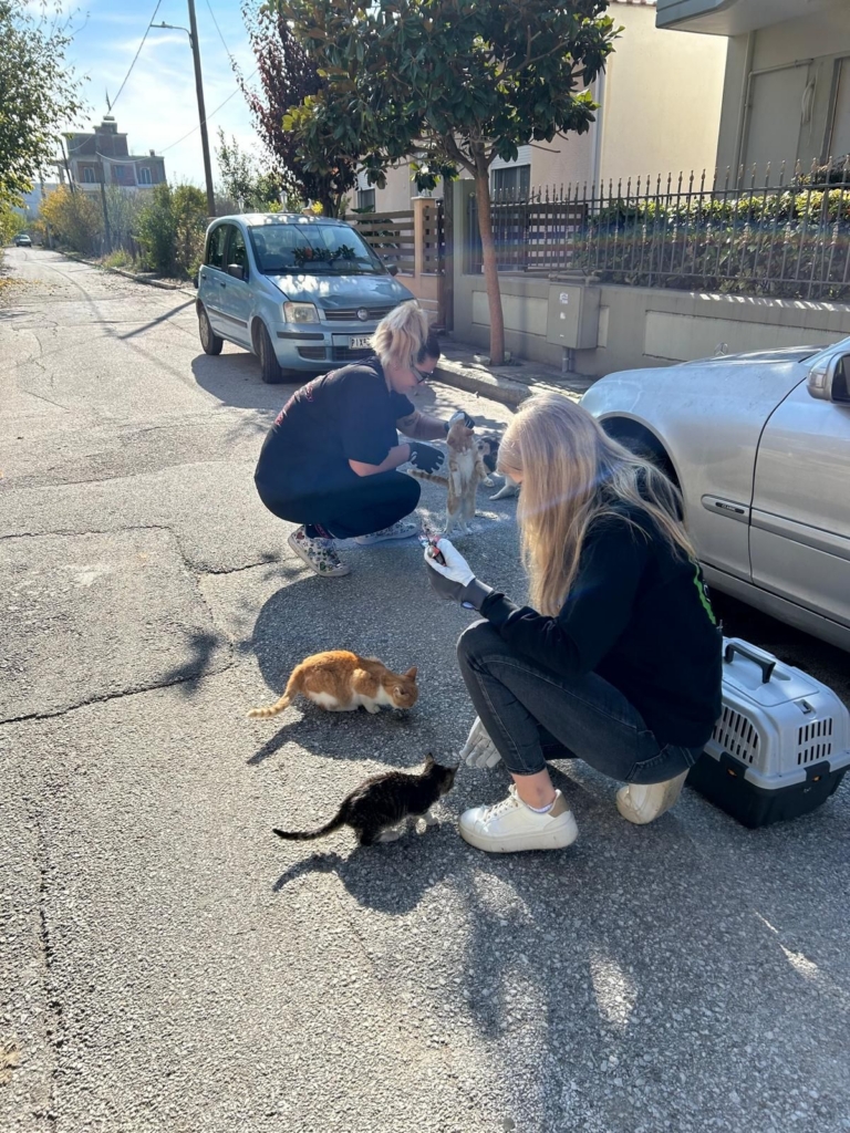 Lara Poppe im Tierschutz-Engagement: Sie lockt mit einer Kollegin zusammen junge Katzen mit Futter an, um sie einfangen zu können.