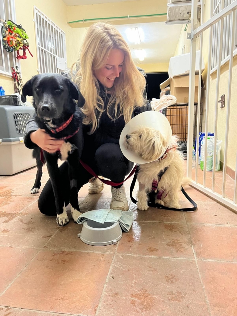 Lara Poppe im Tierschutz-Engagement: Sie lächelt liebevoll zwei Hunde an, die sie umarmt, während der kleinere eine Halskrause trägt.